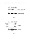 Antisense Oligonucleotides (ODN) Against SMAD7 and Uses Thereof in Medical     Field diagram and image