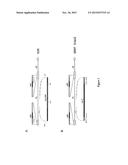 TETRACYCLINE-REGULATED GENE EXPRESSION IN HSV-1 VECTORS diagram and image