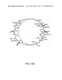 Engineered Light-Harvesting Organisms diagram and image