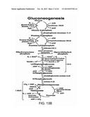 Engineered Light-Harvesting Organisms diagram and image