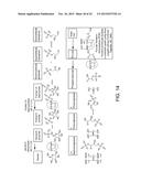 Engineered Light-Harvesting Organisms diagram and image