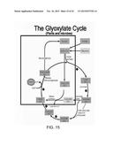 Engineered Light-Harvesting Organisms diagram and image