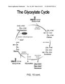 Engineered Light-Harvesting Organisms diagram and image