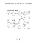 Engineered Light-Harvesting Organisms diagram and image