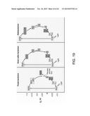 Engineered Light-Harvesting Organisms diagram and image