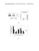 Methods and Compositions to Modulate RNA Processing diagram and image