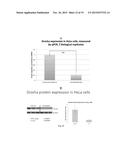 Methods and Compositions to Modulate RNA Processing diagram and image