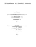 Methods and Compositions to Modulate RNA Processing diagram and image