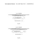 Methods and Compositions to Modulate RNA Processing diagram and image