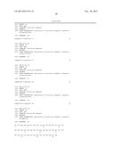 Rationally-Designed Single-Chain Meganucleases With Non-Palindromic     Recognition Sequences diagram and image