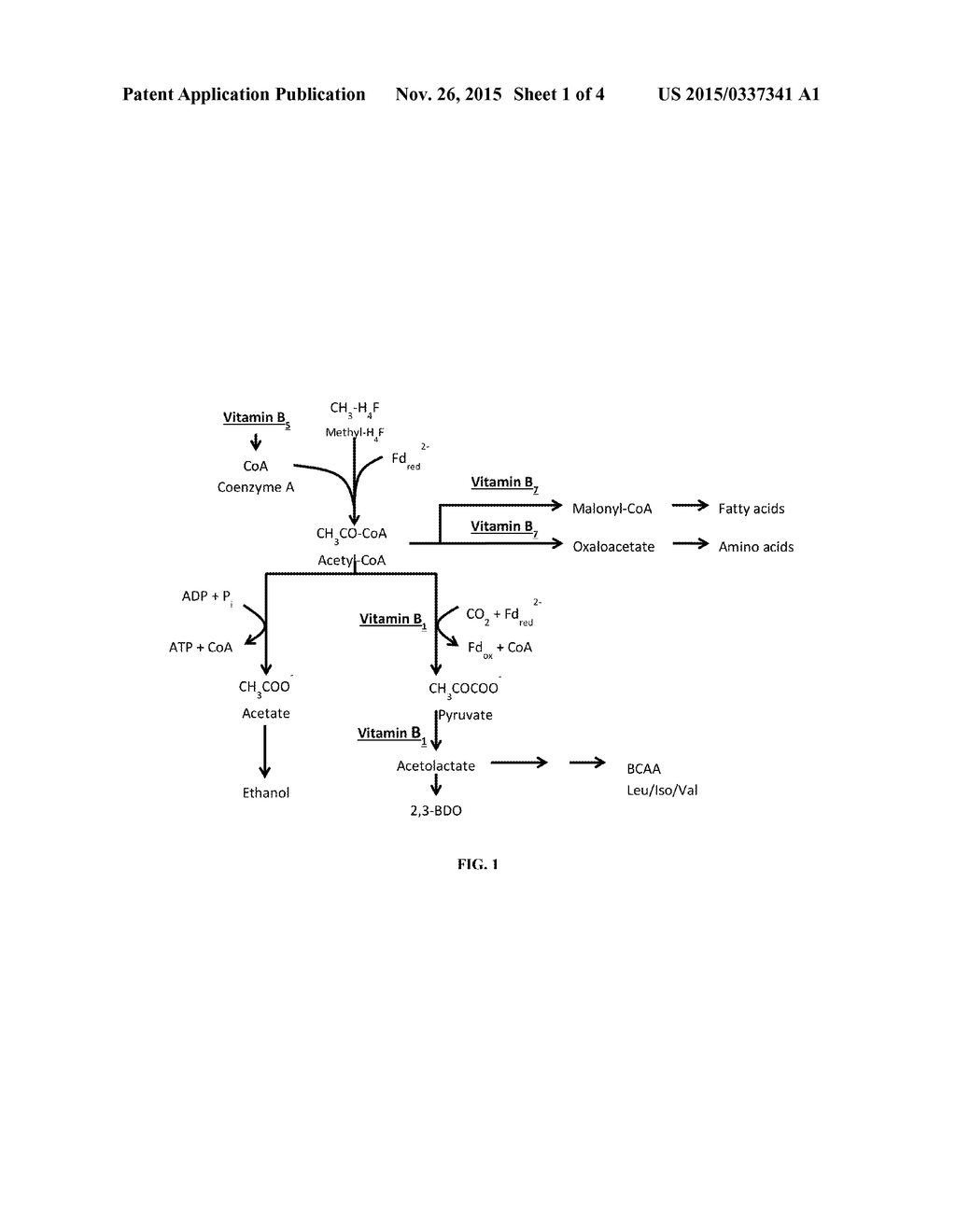 FERMENTATION PROCESS FOR THE PRODUCTION AND CONTROL OF PYRUVATE-DERIVED     PRODUCTS - diagram, schematic, and image 02