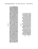 RAPID ANTIBIOTIC SUSCEPTIBILITY TESTING SYSTEM BASED ON BACTERIAL     IMMOBILIZATION USING GELLING AGENT, ANTIBIOTIC DIFFUSION AND TRACKING OF     SINGLE BACTERIAL CELLS diagram and image