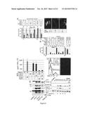 METHOD FOR IN VITRO DETECTION AND MONITORING OF A DISEASE BY MEASURING     DISEASE-ASSOCIATED PROTEASE ACTIVITY IN EXTRACELLULAR VESICLES diagram and image