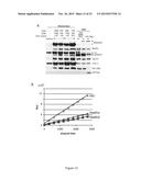 METHOD FOR IN VITRO DETECTION AND MONITORING OF A DISEASE BY MEASURING     DISEASE-ASSOCIATED PROTEASE ACTIVITY IN EXTRACELLULAR VESICLES diagram and image