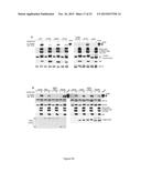 METHOD FOR IN VITRO DETECTION AND MONITORING OF A DISEASE BY MEASURING     DISEASE-ASSOCIATED PROTEASE ACTIVITY IN EXTRACELLULAR VESICLES diagram and image