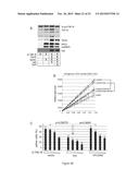 METHOD FOR IN VITRO DETECTION AND MONITORING OF A DISEASE BY MEASURING     DISEASE-ASSOCIATED PROTEASE ACTIVITY IN EXTRACELLULAR VESICLES diagram and image