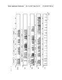 DEVICE FOR GENOTYPIC ANALYSIS AND METHOD FOR GENOTYPIC ANALYSIS diagram and image