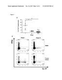 IN VITRO METHOD FOR THE DIAGNOSIS AND SURVEILLANCE OF CANCER diagram and image