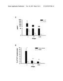 IN VITRO METHOD FOR THE DIAGNOSIS AND SURVEILLANCE OF CANCER diagram and image