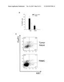 IN VITRO METHOD FOR THE DIAGNOSIS AND SURVEILLANCE OF CANCER diagram and image