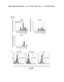 IN VITRO METHOD FOR THE DIAGNOSIS AND SURVEILLANCE OF CANCER diagram and image