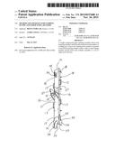 Method and Apparatus for Stabbing of Pipe and Other Tubular Goods diagram and image