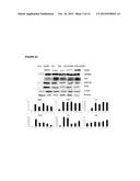 METHOD FOR OBTAINING DATA THAT ARE USEFUL FOR THE DIAGNOSIS, PROGNOSIS AND     CLASSIFICATION OF PATIENTS WITH CHRONIC OBSTRUCTIVE PULMONARY DISEASE     (COPD) AND/OR LUNG CANCER diagram and image