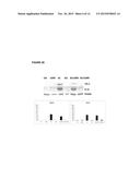 METHOD FOR OBTAINING DATA THAT ARE USEFUL FOR THE DIAGNOSIS, PROGNOSIS AND     CLASSIFICATION OF PATIENTS WITH CHRONIC OBSTRUCTIVE PULMONARY DISEASE     (COPD) AND/OR LUNG CANCER diagram and image