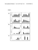 METHOD FOR OBTAINING DATA THAT ARE USEFUL FOR THE DIAGNOSIS, PROGNOSIS AND     CLASSIFICATION OF PATIENTS WITH CHRONIC OBSTRUCTIVE PULMONARY DISEASE     (COPD) AND/OR LUNG CANCER diagram and image