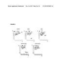 METHOD FOR OBTAINING DATA THAT ARE USEFUL FOR THE DIAGNOSIS, PROGNOSIS AND     CLASSIFICATION OF PATIENTS WITH CHRONIC OBSTRUCTIVE PULMONARY DISEASE     (COPD) AND/OR LUNG CANCER diagram and image