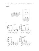 METHOD FOR OBTAINING DATA THAT ARE USEFUL FOR THE DIAGNOSIS, PROGNOSIS AND     CLASSIFICATION OF PATIENTS WITH CHRONIC OBSTRUCTIVE PULMONARY DISEASE     (COPD) AND/OR LUNG CANCER diagram and image