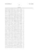 METHOD FOR OBTAINING DATA THAT ARE USEFUL FOR THE DIAGNOSIS, PROGNOSIS AND     CLASSIFICATION OF PATIENTS WITH CHRONIC OBSTRUCTIVE PULMONARY DISEASE     (COPD) AND/OR LUNG CANCER diagram and image