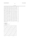 METHOD FOR OBTAINING DATA THAT ARE USEFUL FOR THE DIAGNOSIS, PROGNOSIS AND     CLASSIFICATION OF PATIENTS WITH CHRONIC OBSTRUCTIVE PULMONARY DISEASE     (COPD) AND/OR LUNG CANCER diagram and image