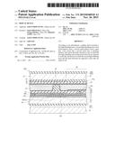 DISPLAY DEVICE diagram and image