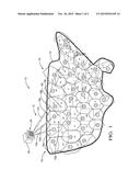 SATELLITE COMMUNICATION SYSTEM WITH TIME-MULTIPLEXED COMMUNICATION FROM     SPOT BEAM DEFINED SUB-REGIONS diagram and image