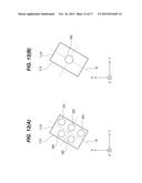 PROJECTION DISPLAY DEVICE diagram and image