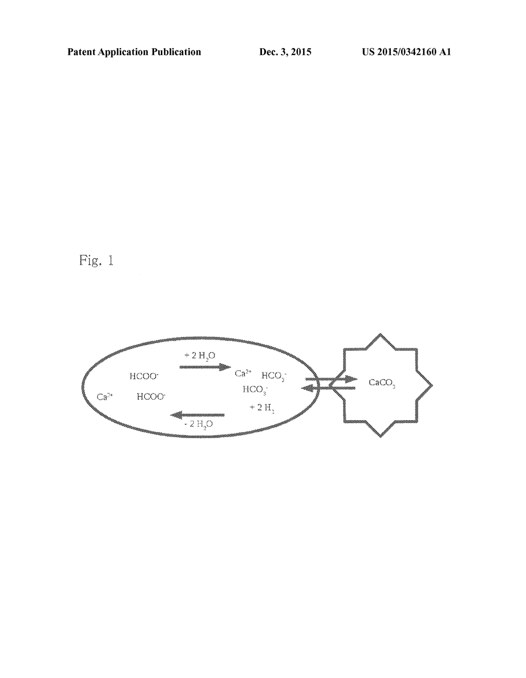 Salt-composition for supplementing a mineral balance in the aquaristic     area, ready for use solution of said salt-composition, use of said     salt-composition, and aquaristic ornamental stone obtained by said use - diagram, schematic, and image 02