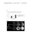 Seed-Origin Endophyte Populations, Compositions, and Methods of Use diagram and image