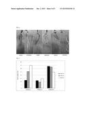 Seed-Origin Endophyte Populations, Compositions, and Methods of Use diagram and image