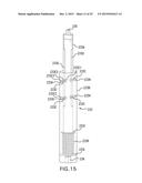 FOOD PROCESSING APPARATUS AND METHOD diagram and image