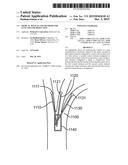 MEDICAL DEVICES AND METHODS FOR LUNG VOLUME REDUCTION diagram and image