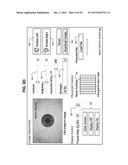 Ocular Prosthesis with Display Device diagram and image