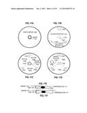 Ocular Prosthesis with Display Device diagram and image