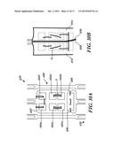 Leaflet Attachment For Function In Various Shapes and Sizes diagram and image