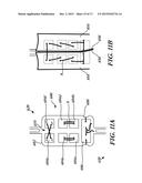 Leaflet Attachment For Function In Various Shapes and Sizes diagram and image