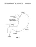 GASTRO-ESOPHAGEAL IMPLANTS diagram and image