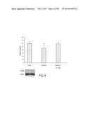 THERAPEUTIC COMPOUNDS AND METHODS diagram and image