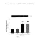 Na/K-ATPase Ligand and Uses Thereof in Wound Healing diagram and image