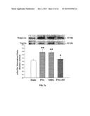 Na/K-ATPase Ligand and Uses Thereof in Wound Healing diagram and image