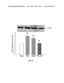 Na/K-ATPase Ligand and Uses Thereof in Wound Healing diagram and image